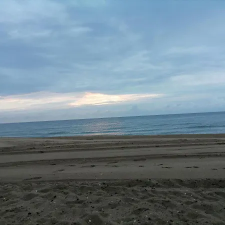 Ivet Guest - * Obsor