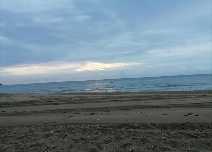 Ivet Guest - * ابزور